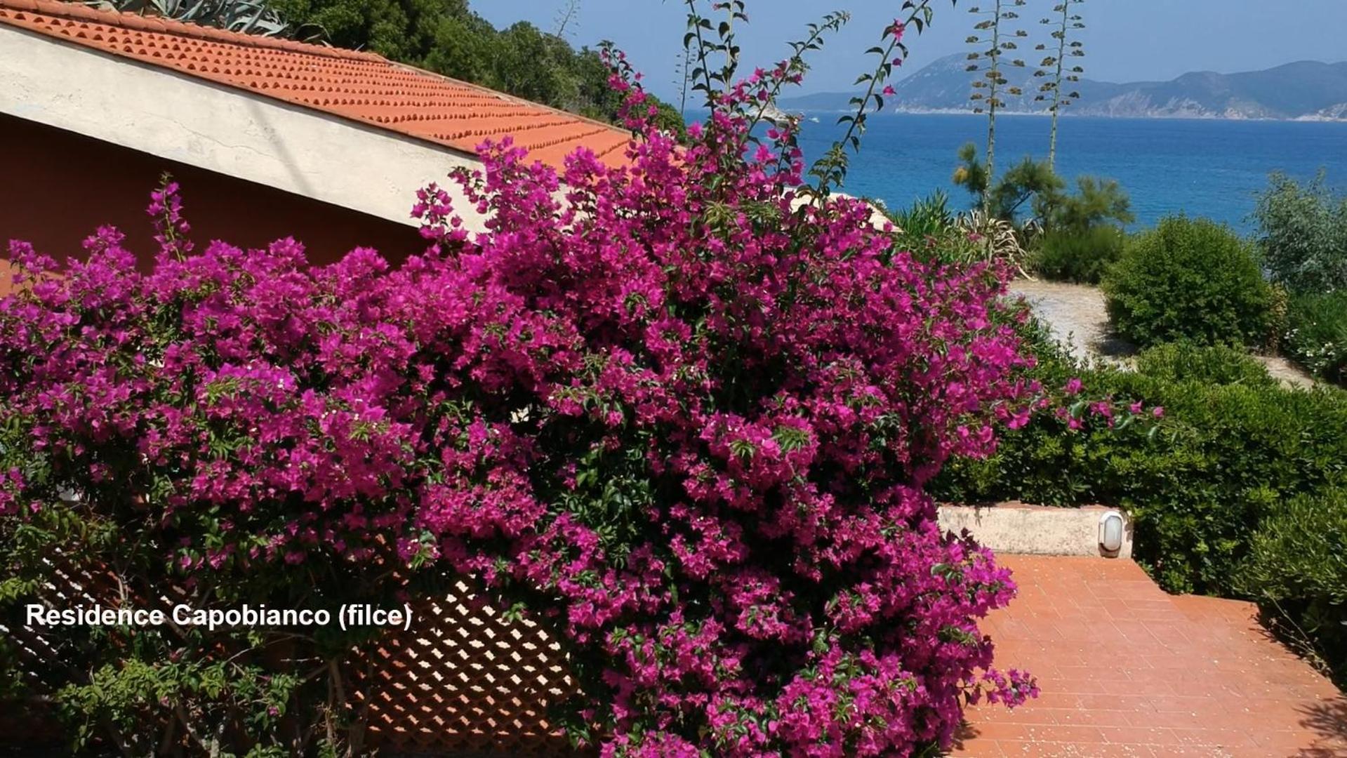 Residence Capobianco Portoferraio Exterior photo
